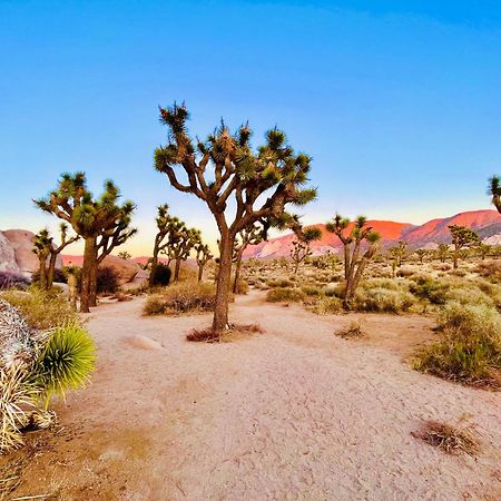 The Joshua Tree House 빌라 외부 사진