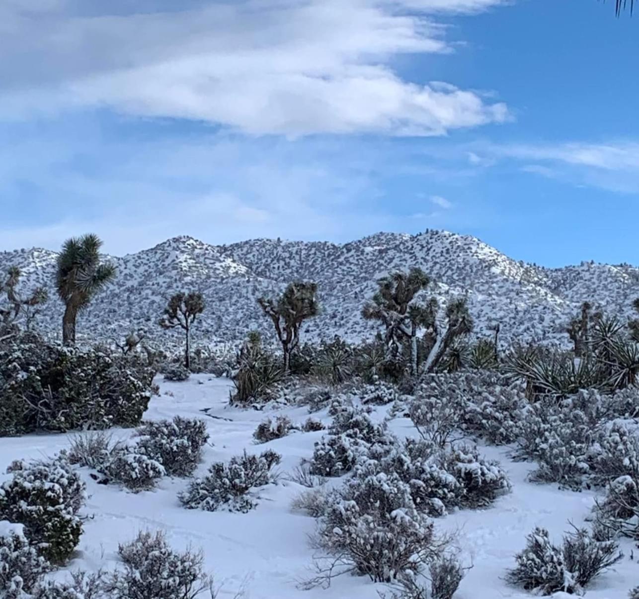 The Joshua Tree House 빌라 외부 사진