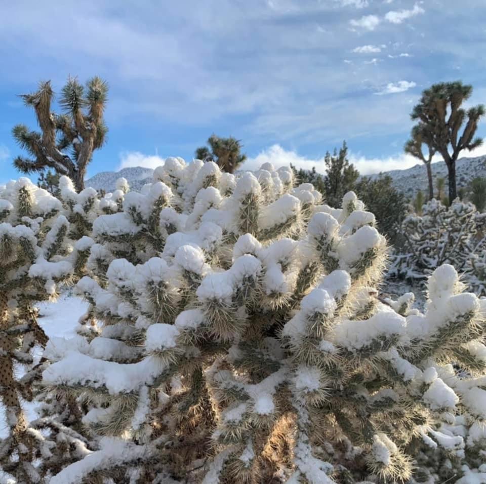 The Joshua Tree House 빌라 외부 사진